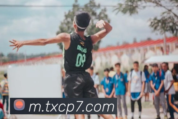 网上购彩票平台生态图